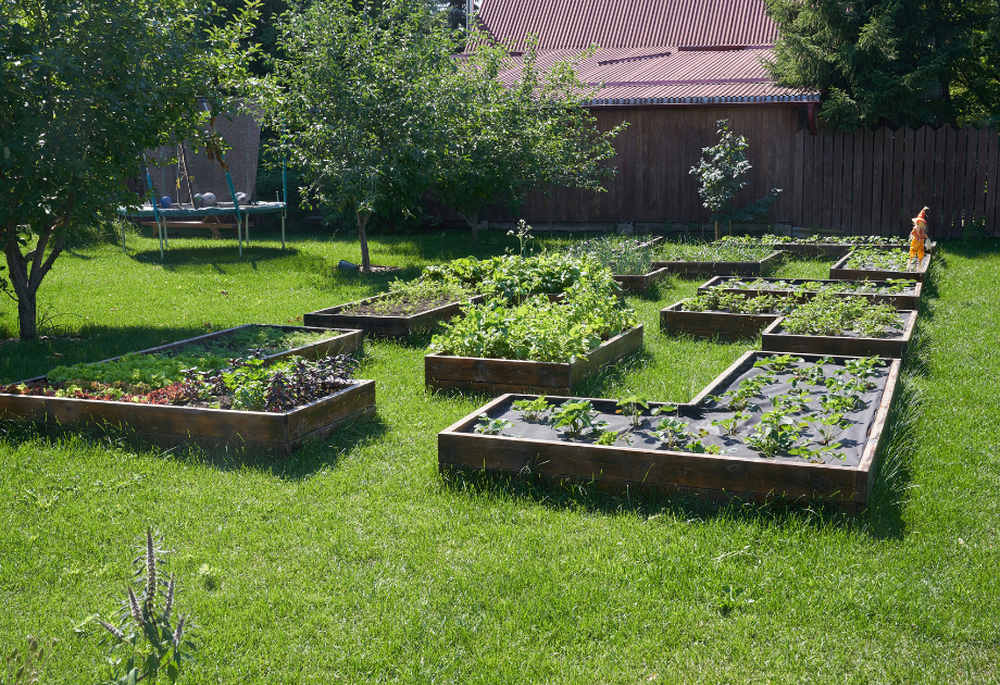 a garden with raised flowr beds containing vegetables and herbs